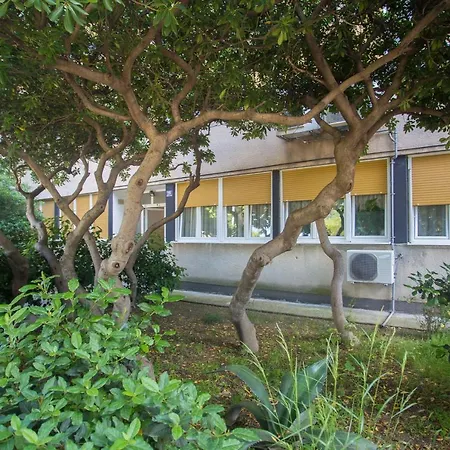 Apartman Cosmos *